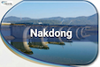 Nakdong button